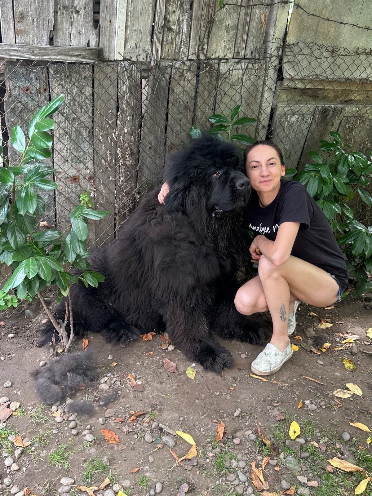 Claudia grooming a dog at Canino Artis